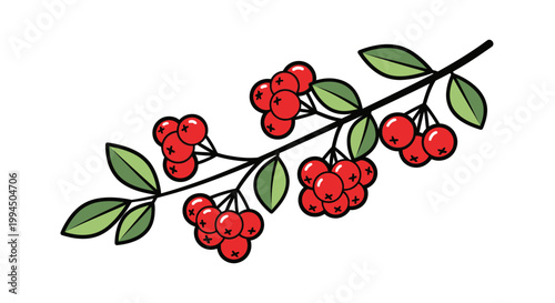 Red Berries on a Branch Stem.