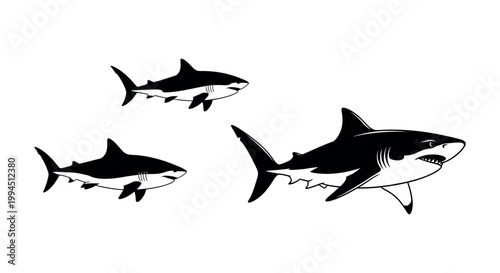 Three sharks swimming in formation together.