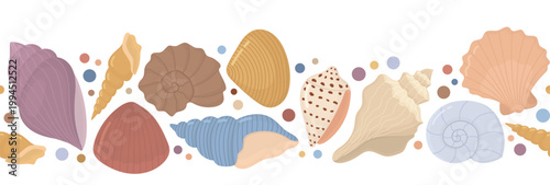 Seamless border with decorative sea shells. Horizontal pattern of colorful marine objects