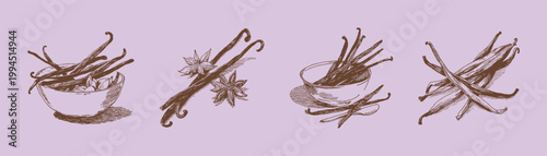 Vanilla pods and aromatic spice sticks botanical set. Illustrations for menu design and food branding. Hand drawn sketch, pencil style with vintage detailed strokes.