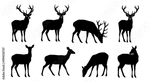 Deer and Stag Silhouette Collection Professional Black Vector Illustration for Wildlife and Nature Branding