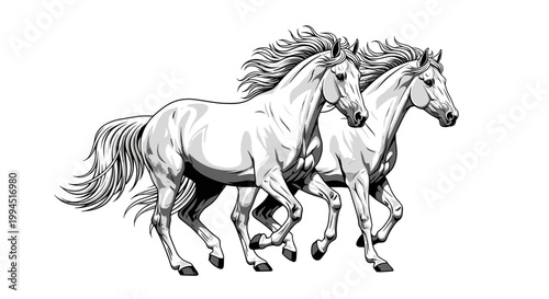 Two Wild Galloping Horses Silhouette Professional Black Vector Illustration for Equestrian Sports and Ranch Branding