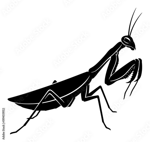 Praying mantis insect silhouette in minimalist graphic style