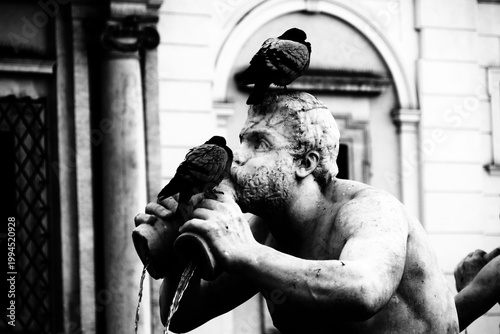 Fotografía Navona
