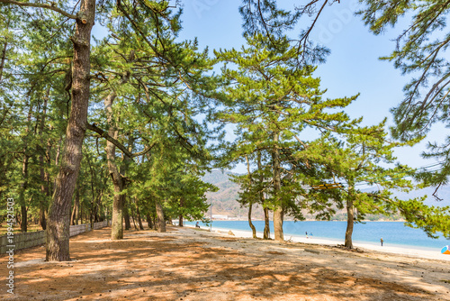 Kehi-no-Matsubara Pine Grove, Tsuruga City, Fukui Prefecture, Japan, National Place of Scenic Beauty