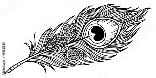 Peacock feather with detailed mandala geometric patterns in intricate line art style