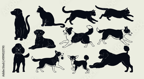 Silhouettes of various dog breeds running.