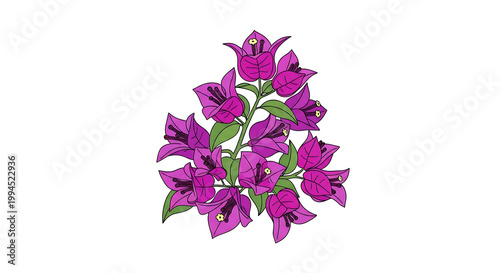 Vibrant cluster of purple bougainvillea flowers with green leaves, delicate floral element, natural beauty, springtime bloom, organic shape
