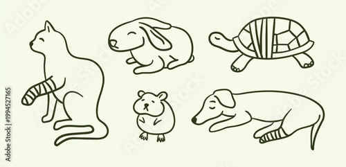 Sick Pets Veterinary Clinic Concept Thin Line Set Hand Drawn Doodle Style. Vector illustration of Rabbit, Hamster and Turtle