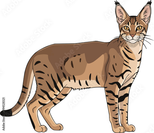 Chausie Cat standing side profile view attentive vector illustration