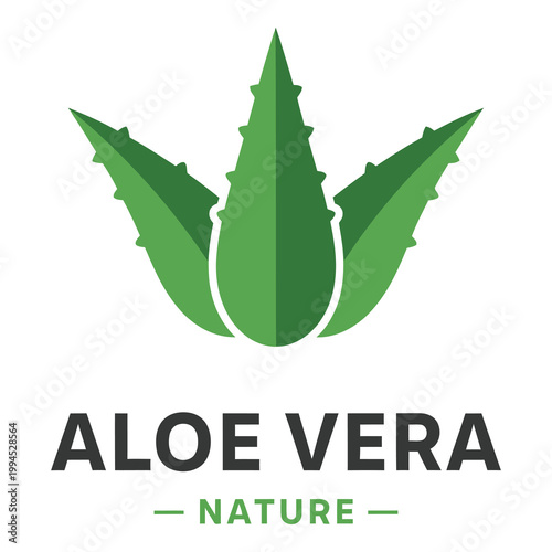 Aloe vera plant green leaves natural remedy health wellness icon graphic icon