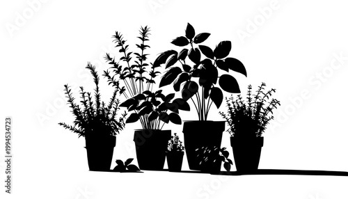 silhouette of a tree