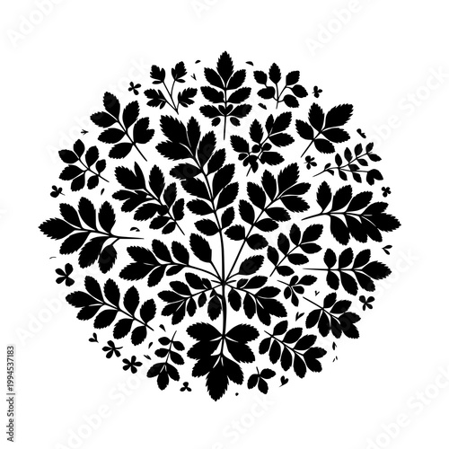 black and white flowers