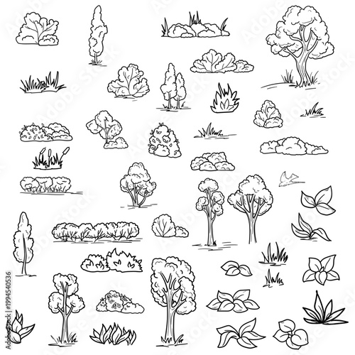 Trees, bushes and fir trees, simple hand sketch. Vector illustration. Set of linear drawings of forest plants and grasses, isolated on white background. Concept of nature, rural landscape and summer