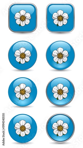Blue buttons with white daisies icons.