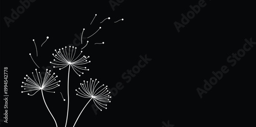Wild flower dandelion with free space for text.  Vector flower for background, dandelion flying wall decal children's room 