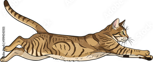 Chausie Cat running athletic full stride action pose vector illustration