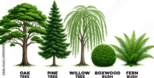 Create a realistic kinds of deferent Trees and bushes in elevation view for use in architectural drawings vector art with white background.