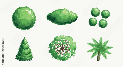 Watercolor architectural tree symbols for site plans, set of 6 green landscape vegetation icons, top view garden plants and shrubs vector