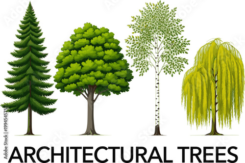 Create a realistic kinds of deferent Vector Trees in elevation view for use in architectural drawings, vector art with white background..