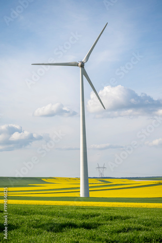 Wind turbines in rapeseed and green wheat fields under blue sky, sustainable agriculture and renewable energy