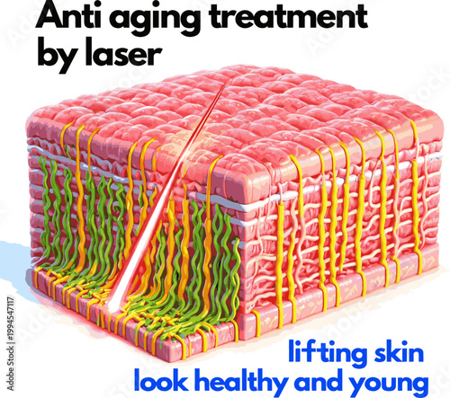 Create a realistic Light of laser shot through skin cell to collagen and elastin layer to lifting skin look healthy and young. Anti aging treatment by laser. 3D rendering vector art .