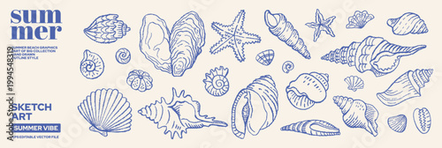 Seashell set. Vintage sea illustration with shell and starfish in outline style. Beach shell vector graphic for coastal design, summer print and ocean art. Italian Amalfi blue color doodle seashell bg