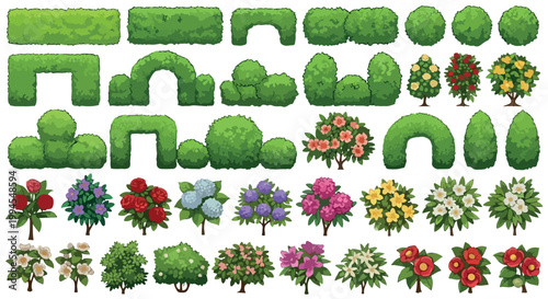 Garden hedge and flowering bush collection, 38 green topiary shrubs and floral plants, landscape design elements for park and backyard vector