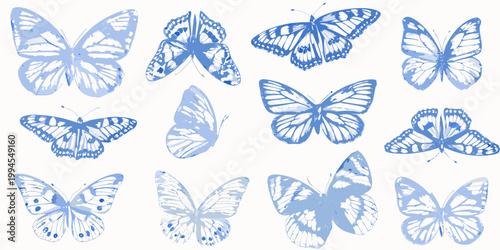 An assortment of blue butterflies with delicate wing patterns displayed