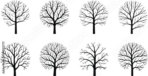 Minimalist bare tree silhouette collection featuring detailed branching patterns in monochrome arranged in balanced decorative grid composition