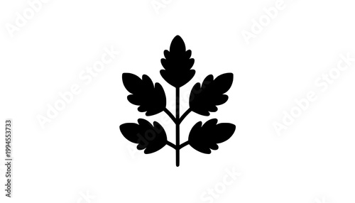 silhouette of a plant