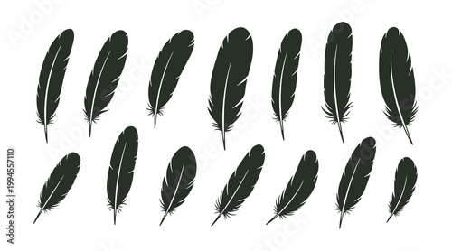 Assorted bird feathers. Vector design on a white background. Flat silhouette style illustration featuring a set of feather icons.