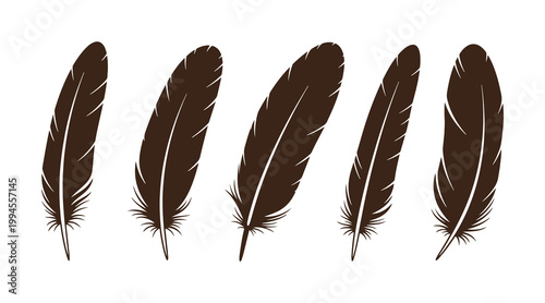Bird feather assortment. Isolated vector on a white backdrop. Icon set of feathers in a flat style.