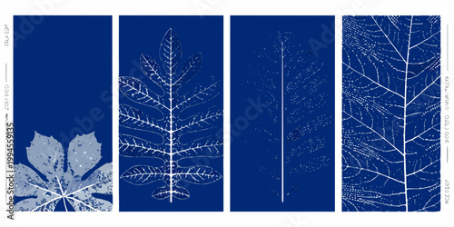 Botanical cyanotype prints of leaves arranged in a vertical composition