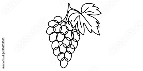 A simple black and white line drawing of a bunch of grapes with a leaf. Vector, illustration