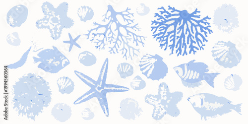 Delicate blue illustrations of seashells coral starfish and ocean fish