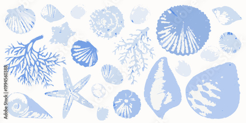 A collection of blue seashells coral and a starfish on white