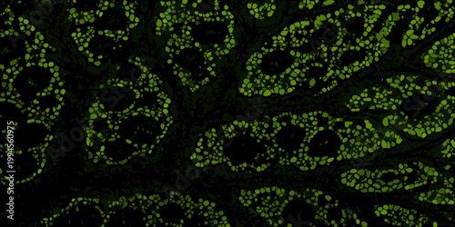 Abstract close up of a green gecko s skin texture and patterns