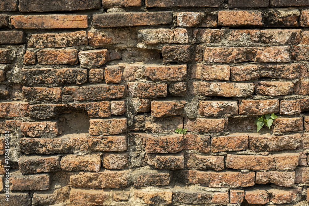 Naklejka premium Old weathered ancient brown brick wall texture ruin displaying enduring nostalgic emotion with crumbling masonry and small green plant growing in crevice at historical temple province