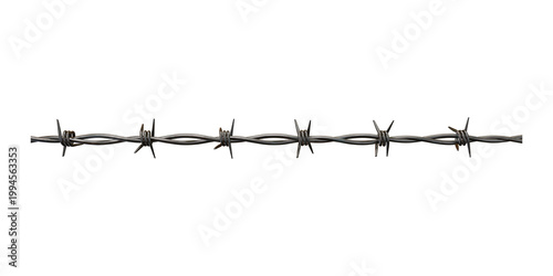 Canvastavla Sharp metal barbed wire segment with pointed spikes isolated on transparent back