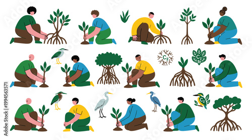 People planting mangrove trees for environmental conservation and ecosystem restoration