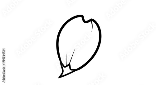 Minimalist outline drawing of a single flower petal, isolated on white background.