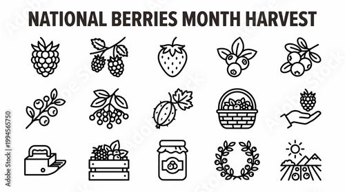 National Berries Month Harvest Icons: Raspberry, Strawberry, Blueberry, Cranberry