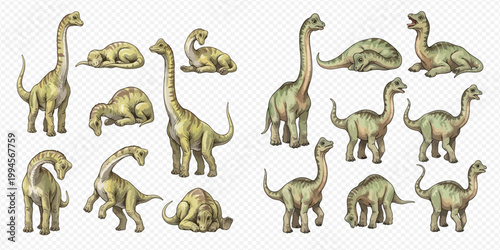 Set of Brontosaurus dinosaurs in various poses, hand-drawn illustration on transparent background.