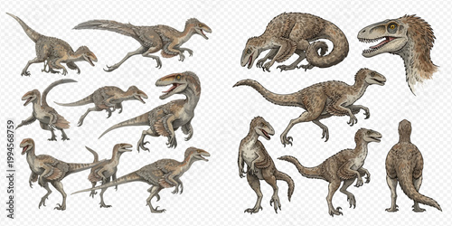 Collection of various dinosaur illustrations showcasing different poses and perspectives.