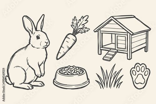 Hand drawn rabbit care elements set with bunny, carrot, hutch, food bowl, grass and paw print in line style..