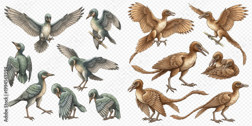 Set of ancient bird and dinosaur illustrations with various poses and detailed features.