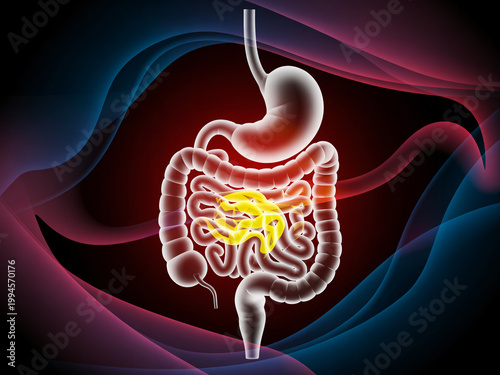 A detailed illustration of the human digestive system with a glowing yellow intestine.