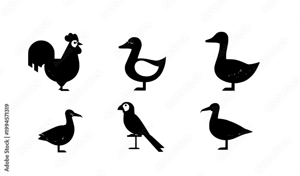 Obraz premium Bird Icon Set Minimal Flat Vector Rooster Duck Goose Parrot Stork Seagull Symbols