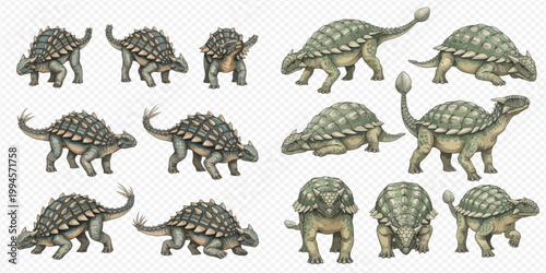 Collection of various Ankylosaurus dinosaur illustrations in different poses and angles.